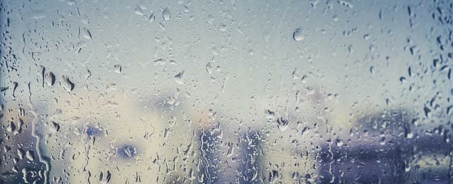 Raindrops on window