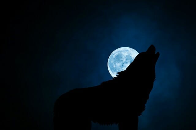 werewolf