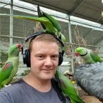 Birds eating headphones